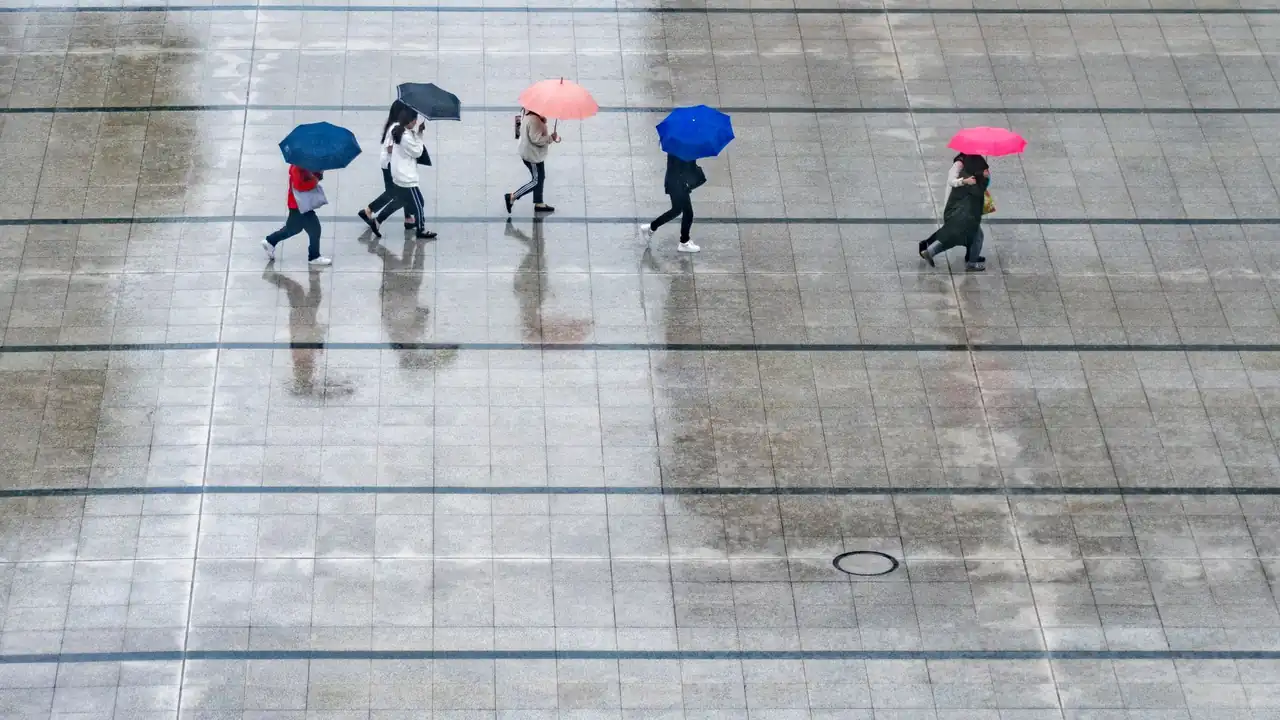 黄色软件大全部图标